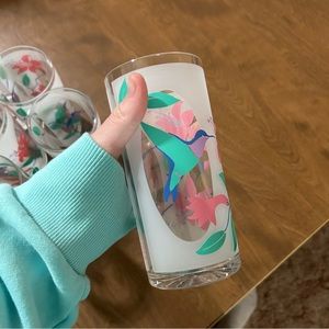 Vintage Stotter hummingbird/hibiscus plastic glasses NIB